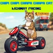 Chipi Chipi Chapa Chapa Cat Highway Racing