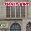 CrazyBirdCity