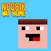 Noob Way home