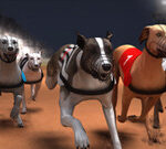 Greyhound Racing